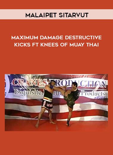 Maximum Damage Destructive Kicks ft Knees of Muay Thai - Malaipet Sitarvut