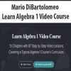 [Download Now] Mario DiBartolomeo - Learn Algebra 1 Video Course