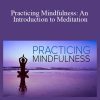 Mark Muesse – Practicing Mindfulness: An Introduction to Meditation