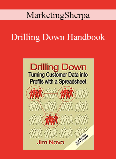 MarketingSherpa - Drilling Down Handbook