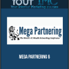Mega Partnering 6