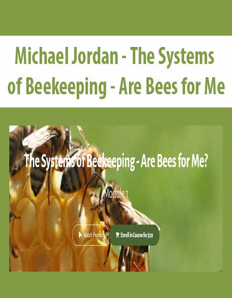 [Download Now] Michael Jordan - The Systems of Beekeeping - Are Bees for Me