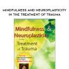 [Download Now] Mindfulness and Neuroplasticity in the Treatment of Trauma – Janina Fisher
