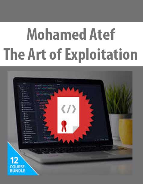 [Download Now] Mohamed Atef – The Art of Exploitation