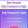 [Download Now] Mosh Hamedani - Entity Framework 6 in Depth