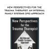 [Download Now] New Perspectives for the Trauma Therapist: An Internal Family Systems (IFS) Approach - Richard C. Schwartz
