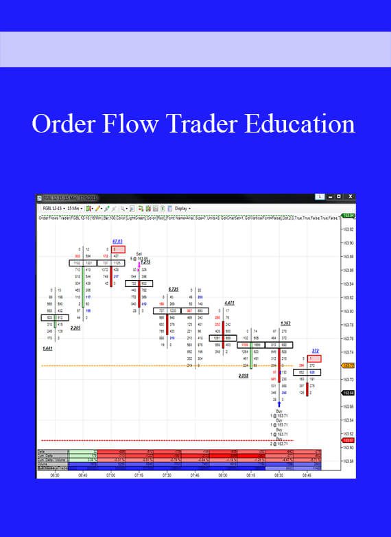 [Download Now] Order Flow Trader Education