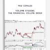 Pau Cifaldi – Volume Studies. The Financial Volume Index