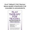[Download Now] Play Therapy for Trauma: Brain-Based Strategies for Children & Adolescents – Amy Flaherty