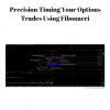 [Download Now] Precision Timing Your Options Trades Using Fibonacci