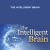 Professor Richard J. Haier – The Intelligent Brain