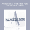 Promotional Audio for Peak Potentials Courses - T Harv Eker