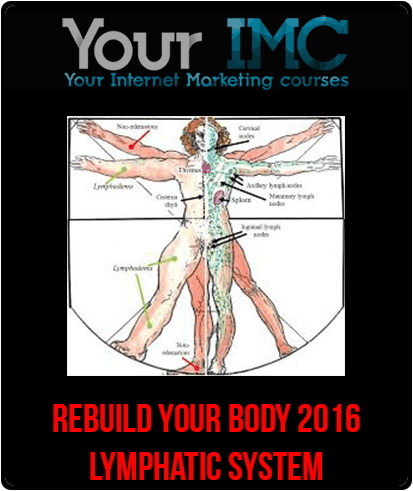 [Download Now] Rebuild Your Body 2016 - Lymphatic System