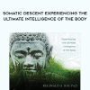 [Download Now] Reginald A. Ray – Somatic Descent Experiencing the Ultimate Intelligence of the Body