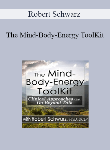Robert Schwarz - The Mind-Body-Energy ToolKit: Clinical Approaches that Go Beyond Talk