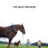 [Download Now] Rudy Hunter - The PACE Process