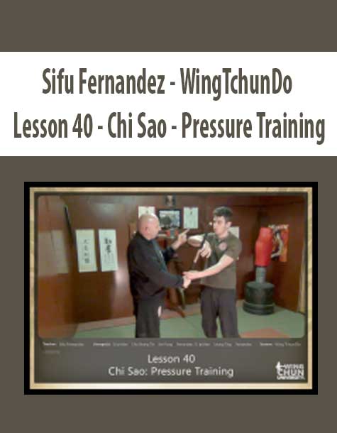 [Download Now] Sifu Fernandez - WingTchunDo - Lesson 40 - Chi Sao - Pressure Training