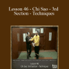 [Download Now] Sifu Fernandez - WingTchunDo - Lesson 46 - Chi Sao - 3rd Section - Techniques