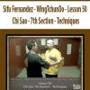 [Download Now] Sifu Fernandez - WingTchunDo - Lesson 50 - Chi Sao - 7th Section - Techniques