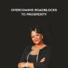 Stephanie Wtfson-Coleman – Overcoming Roadblocks To Prosperity