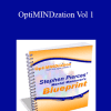Stephen Pierce - OptiMINDzation Vol 1