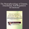 [Download Now] The Neurophysiology of Trauma