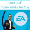 [Download Now] Stochastic Methods in Asset Pricing