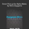 Street Pick-up for Alpha Males by Nitro Daygame