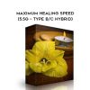 Subliminal Shop – Maximum Healing Speed (5.5g – Type B/C Hybrid)