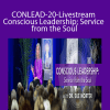 Sue Morter - CONLEAD-20-Livestream Conscious Leadership; Service from the Soul