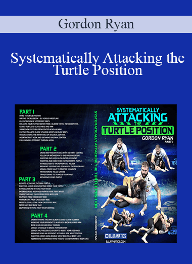 Systematically Attacking the Turtle Position - Gordon Ryan