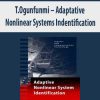T.Ogunfunmi – Adaptative Nonlinear Systems Indentification