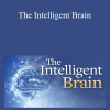 TTC - The Intelligent Brain