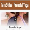 [Download Now] Tara Stiles - Prenatal Yoga