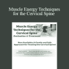 Terry Bemis - Muscle Energy Techniques for the Cervical Spine: Evaluation & Treatment