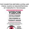 [Download Now] The Connection Between Autism and Vision: Hands-on Demonstrations of Therapeutic Techniques - Christine Winter-Rundell