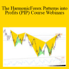 The HarmonicForex Patterns into Profits (PIP) Course Webinars - Scott Carney