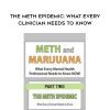 [Download Now] The Meth Epidemic: What Every Clinician Needs to Know - Hayden Center
