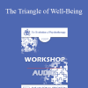 [Audio Download] EP09 Workshop 38 - The Triangle of Well-Being - Daniel Siegel