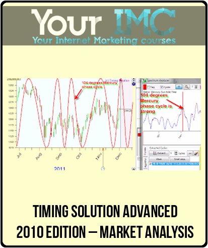 Timing Solution Advanced – 2010 Edition – Market Analysis