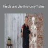 Tom Myers - Fascia and the Anatomy Trains
