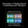 Uwe P. Gielen - Principles of Multicultural Counseling and Therapyc