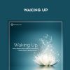 Various Authors – WAKING UP