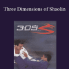 Vitor Shaolin Ribeiro - Three Dimensions of Shaolin