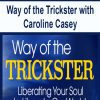 [Download Now] Way of the Trickster with Caroline Casey