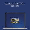 [Download Now] Wayne Gorman - The Basics of the Wave Principle