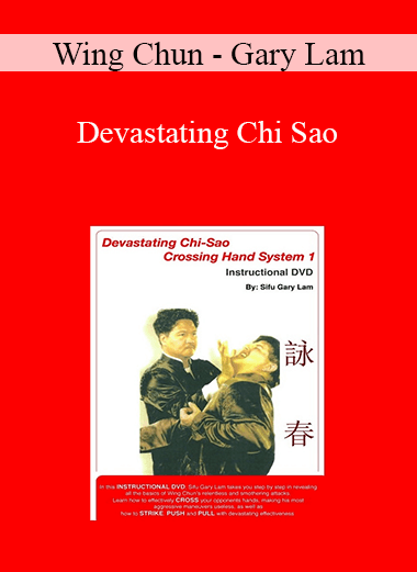 Wing Chun - Gary Lam - Devastating Chi Sao