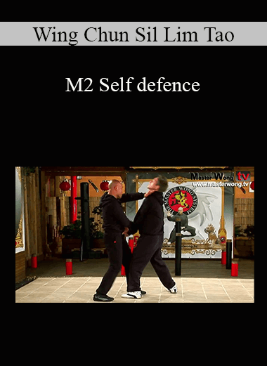 Wing Chun Sil Lim Tao - M2 Self defence