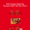 Wing Tjun - Sifu Sergio Iadorola - Section One Chi Sao Part 1