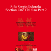 Wing Tjun - Sifu Sergio Iadorola - Section One Chi Sao Part 2